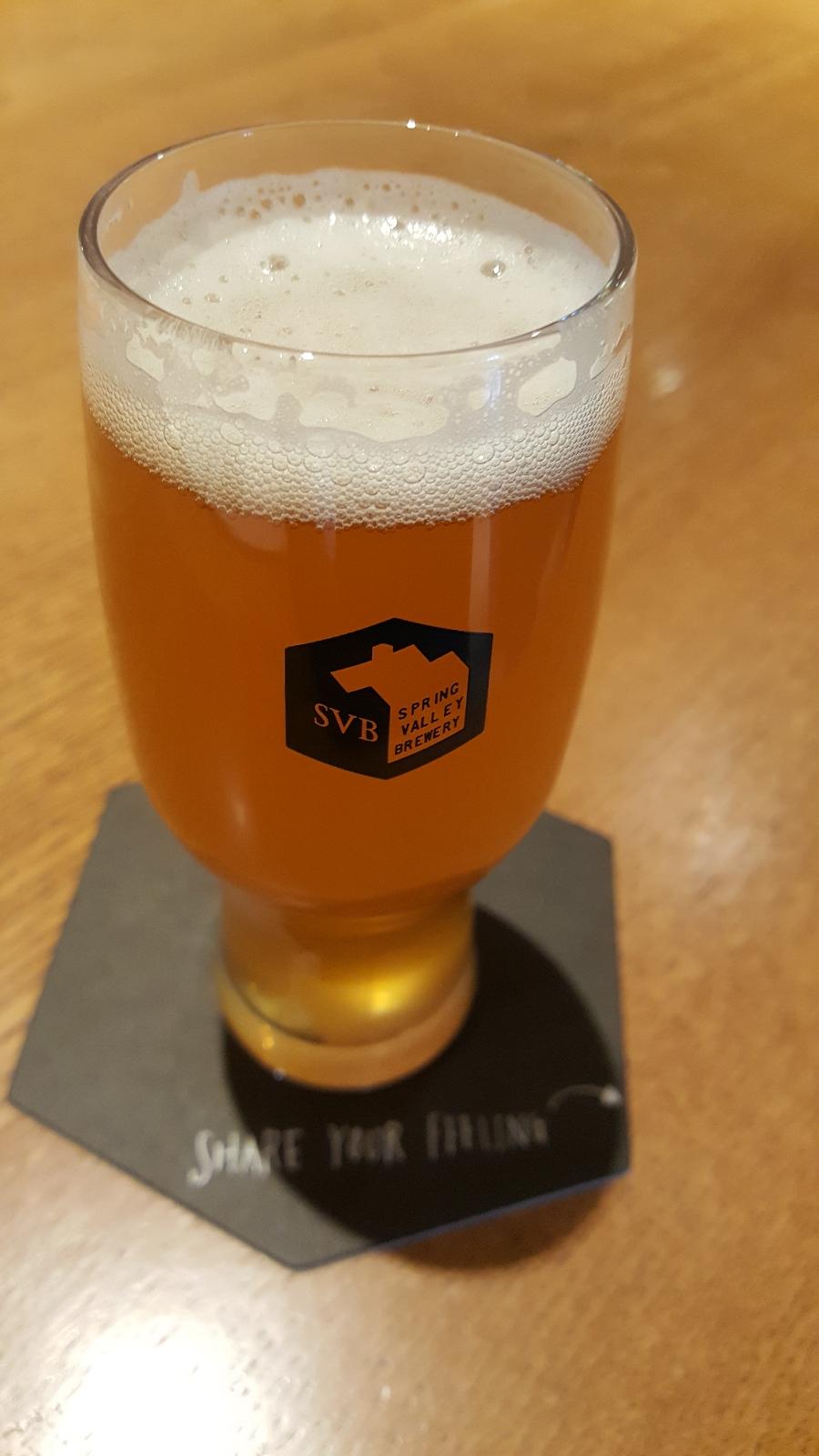 IPA #8
