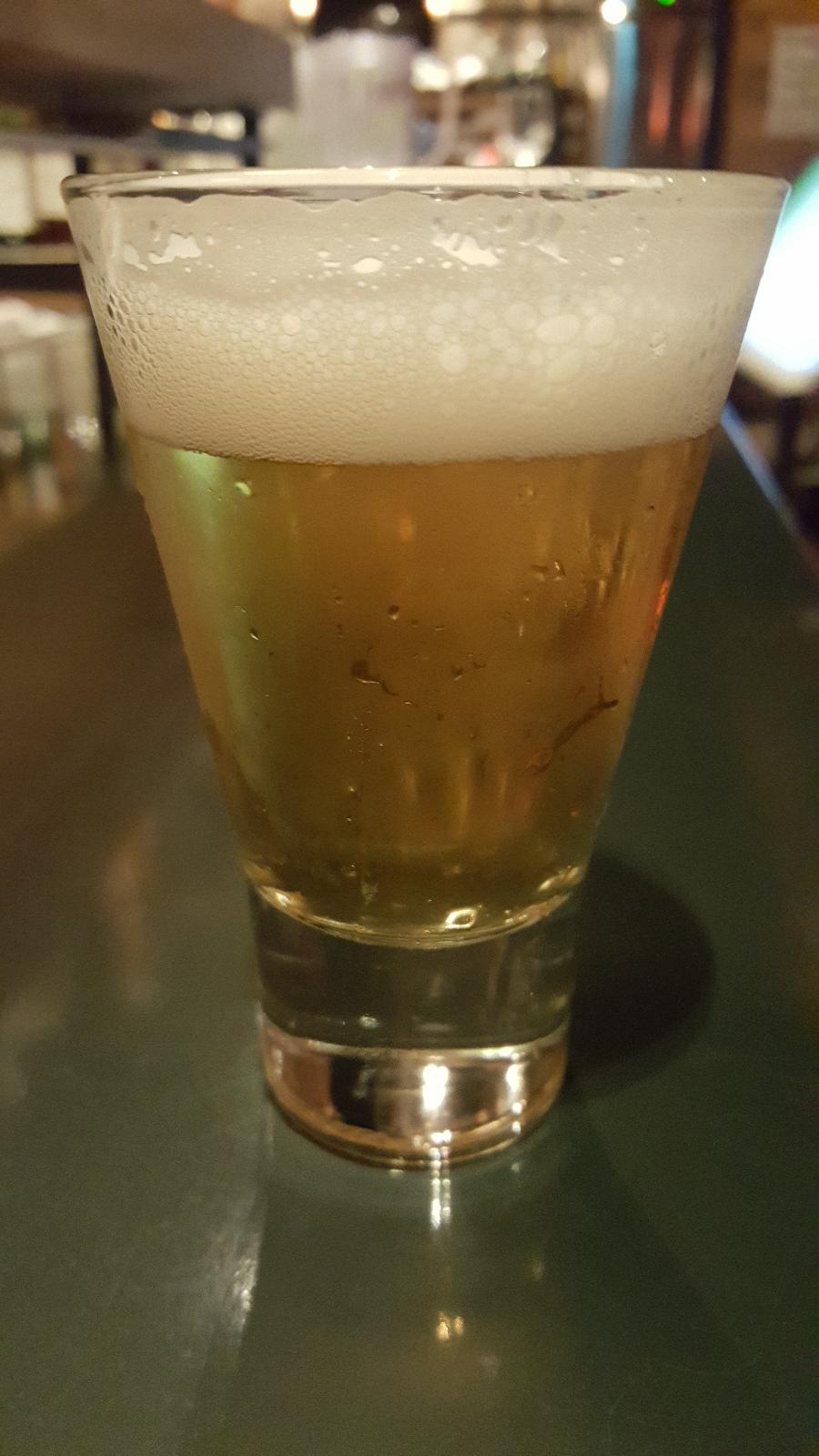 Galleon Dry-Hopped Lager