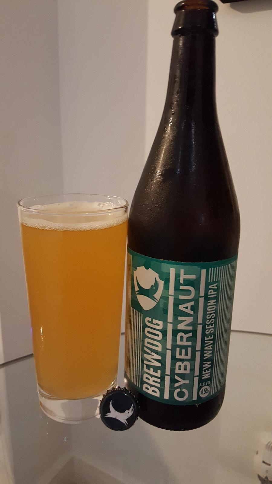Cybernaut