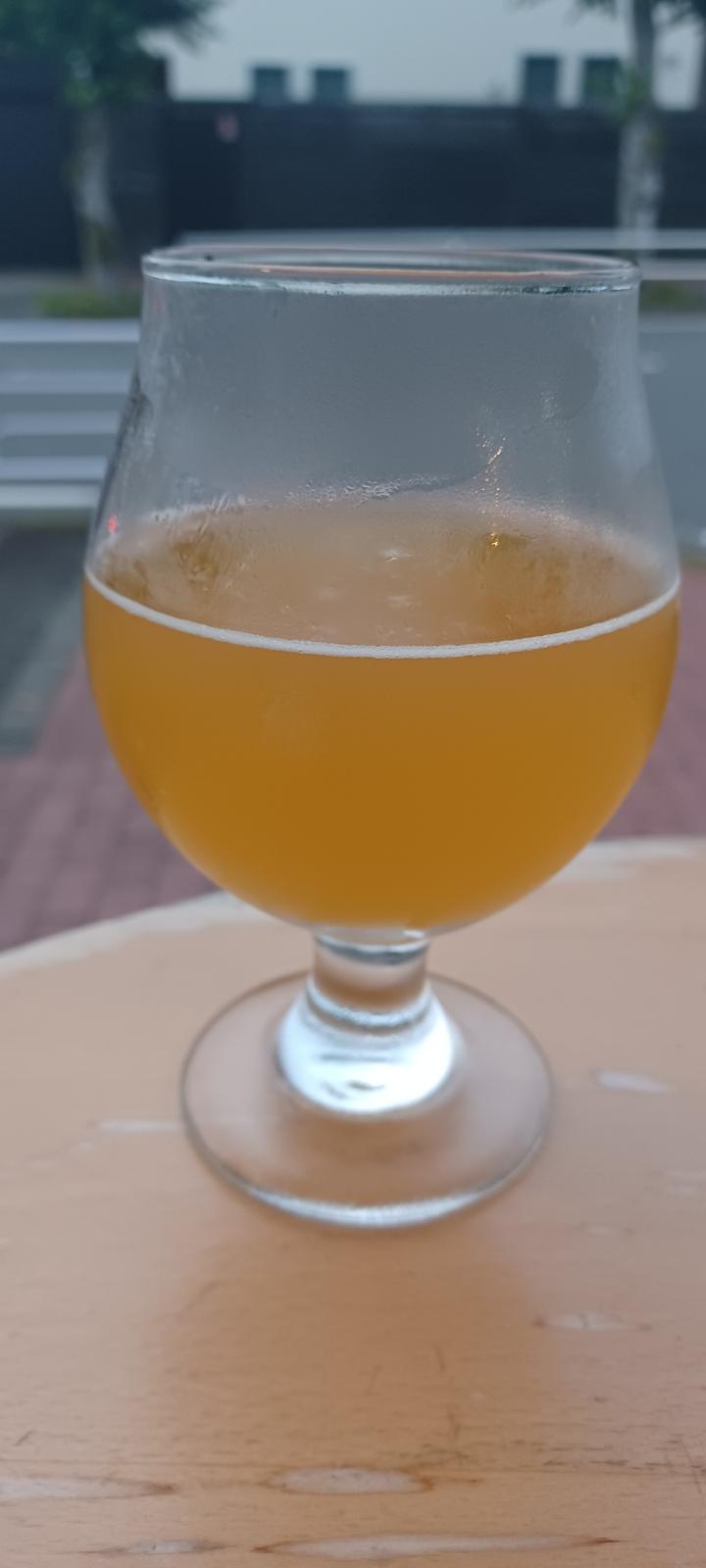Citra Traveler