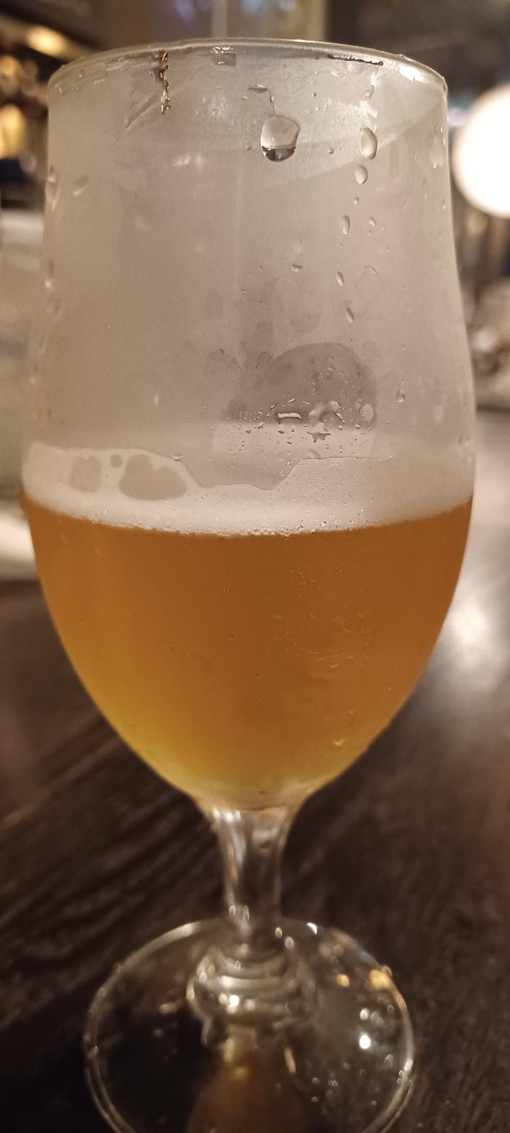 Ise Kadoya Surusun IPA