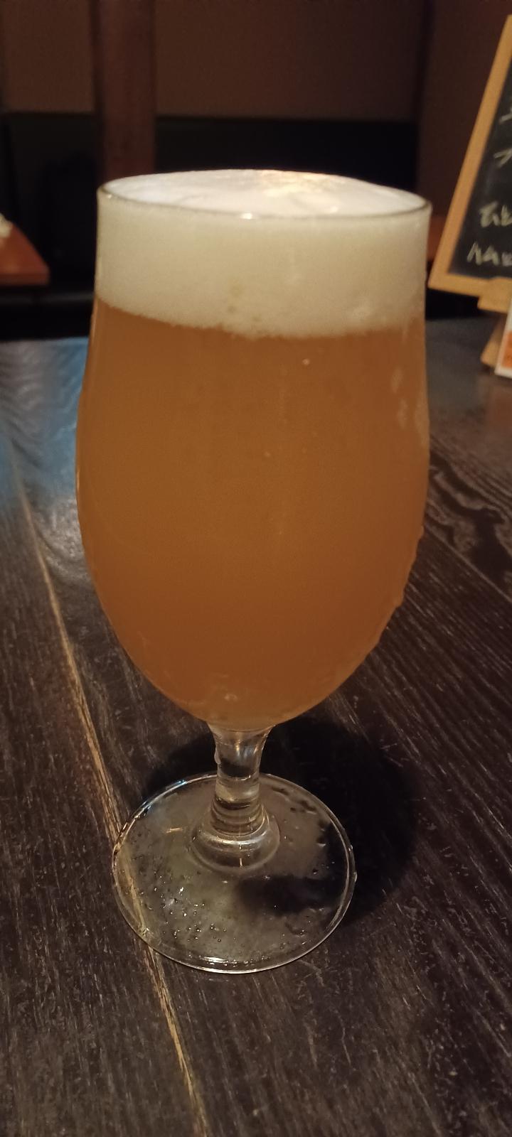 North Meets South (Collaboration with DD4D)