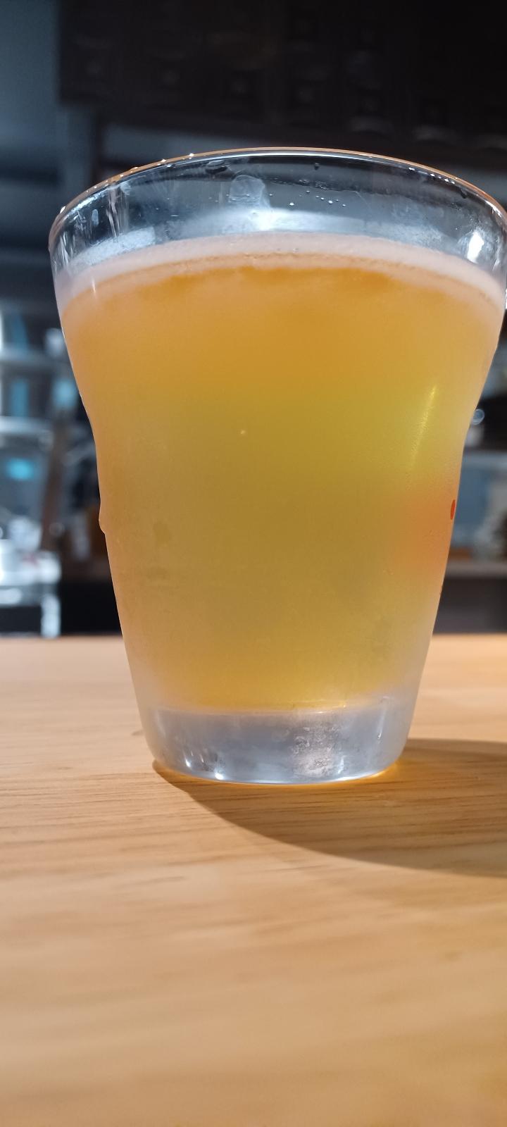 Ise Kadoya Potechi Lager