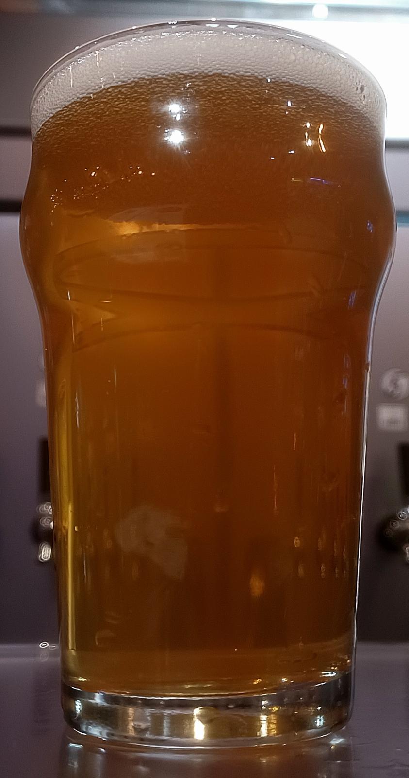 Bodhizafa - Fresh Hop Mosaic