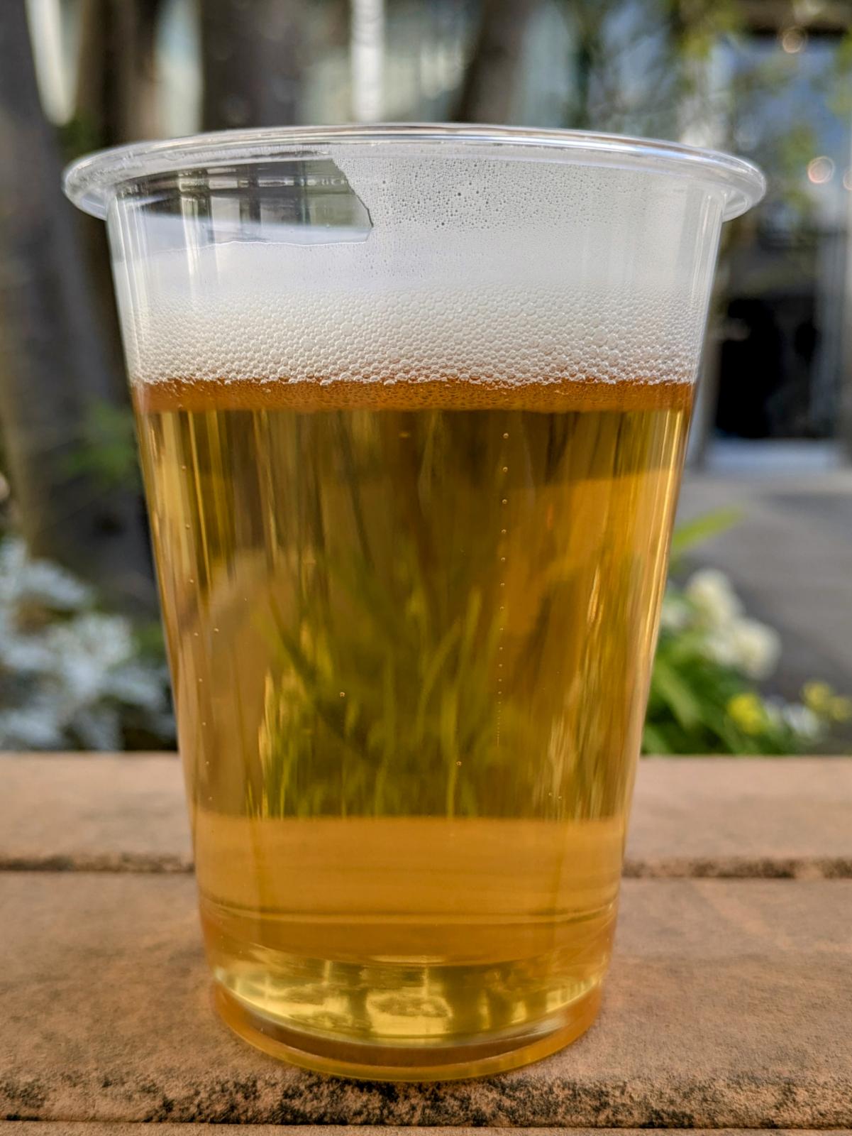 Plank Helles Nelson Sauvin