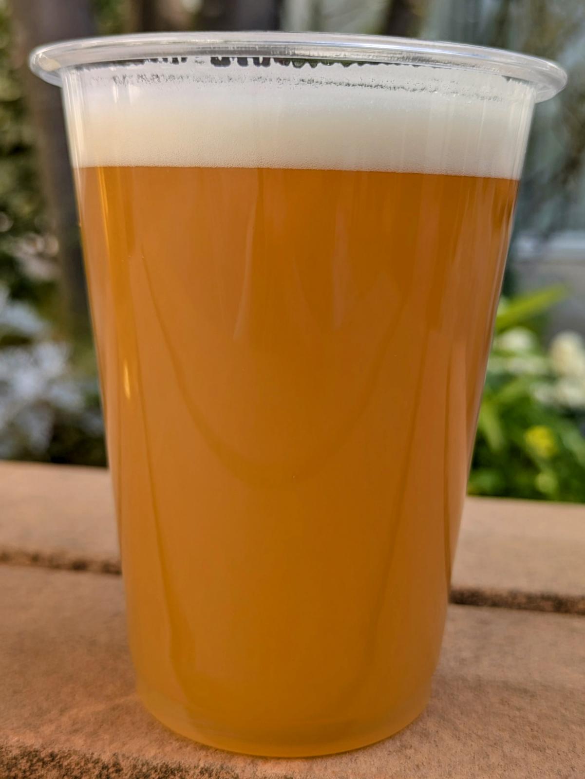 Plank Heller Weizenbock