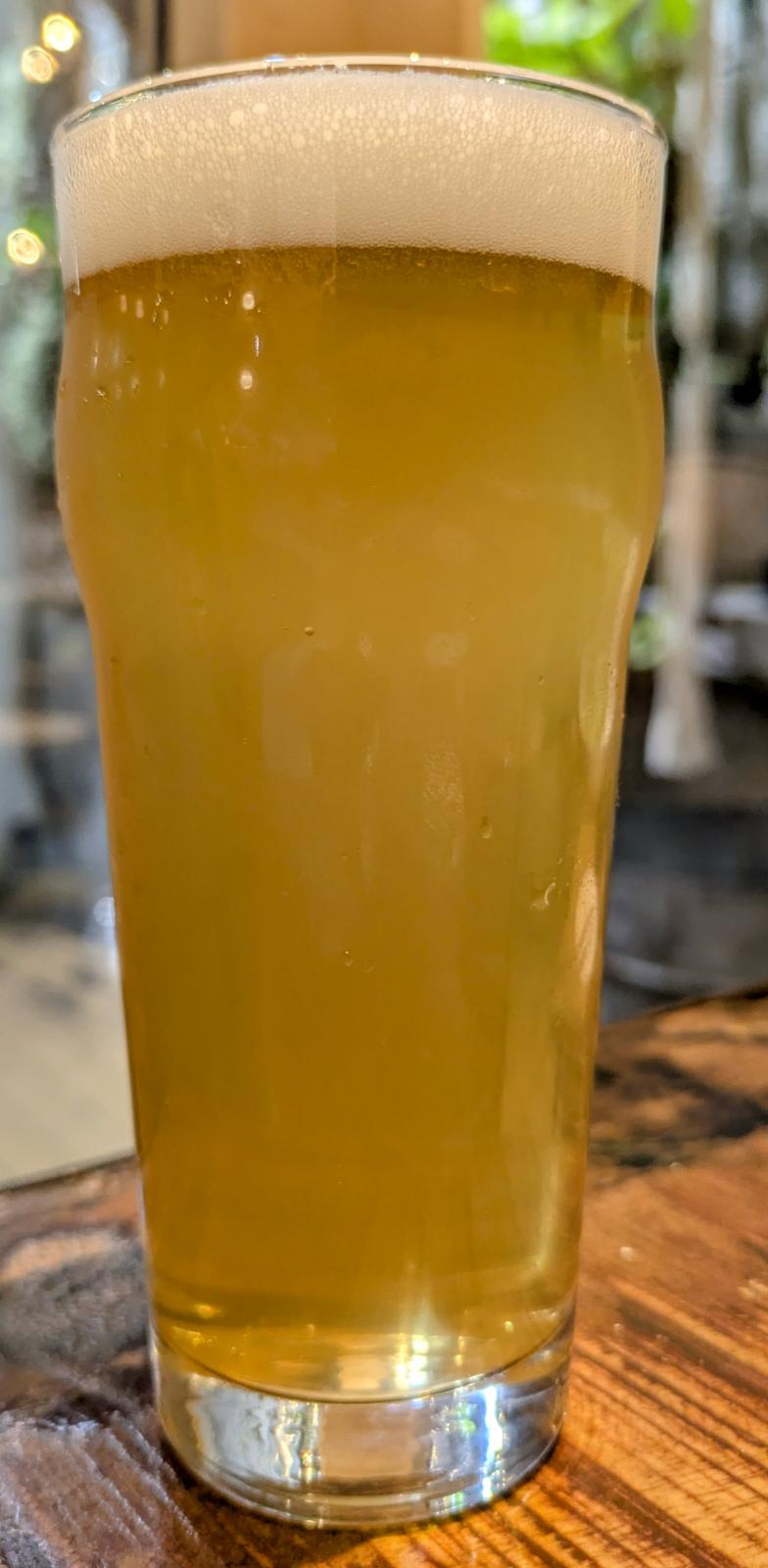 Yugawara Sunrise Lager