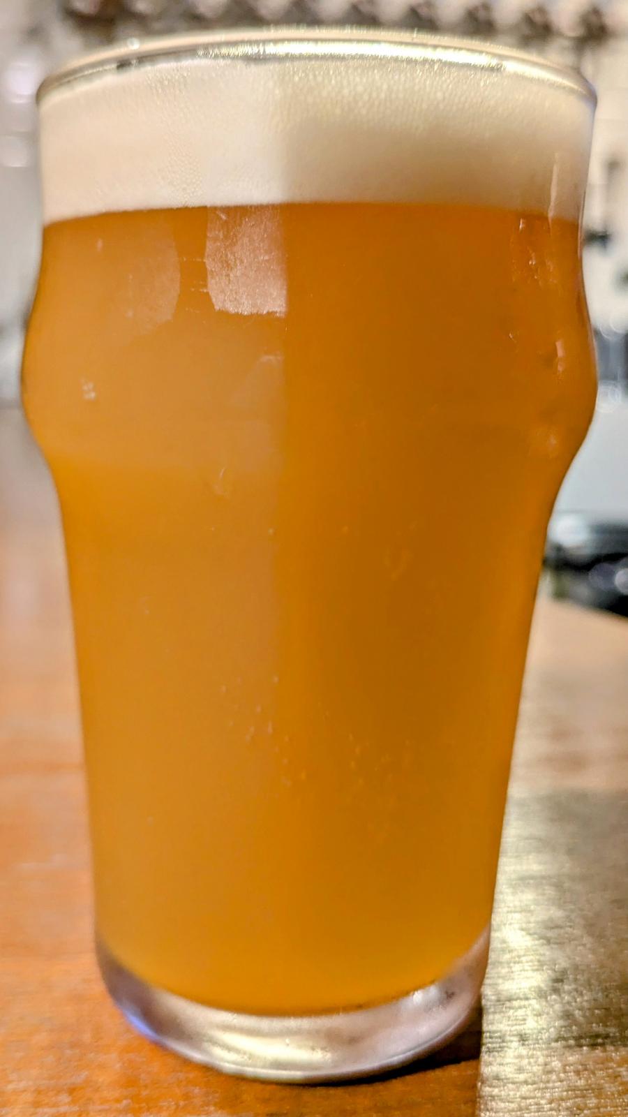 Snow Monkey - Orange