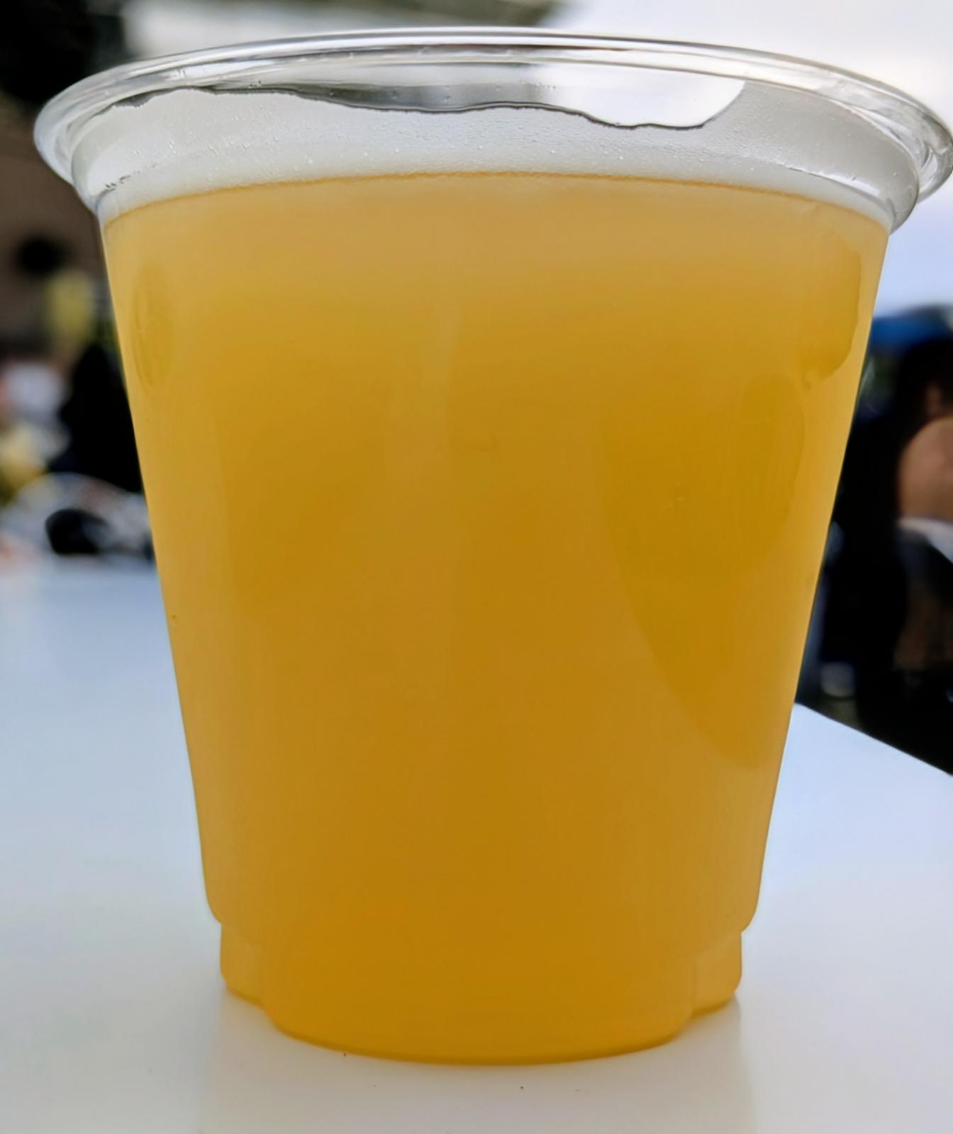 Hazy Life Enrichment (Collaboration with Tokaido Beer)