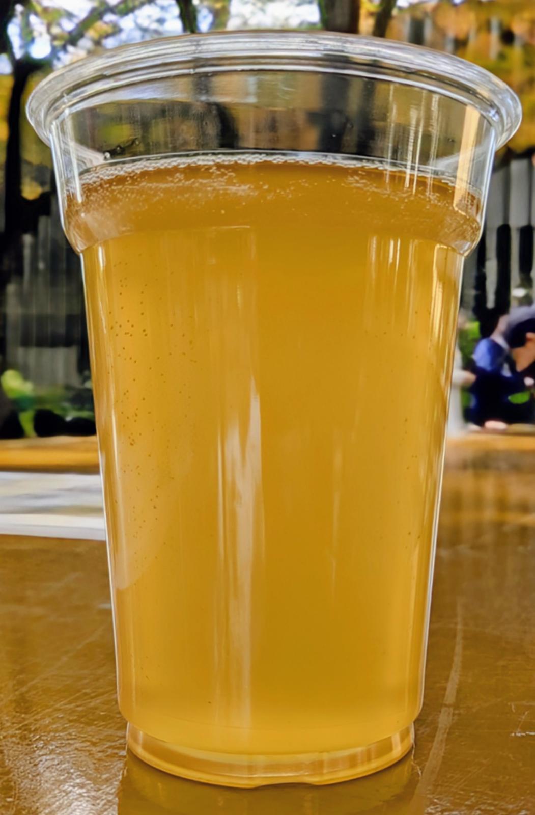 Halapeno Tomato Gose