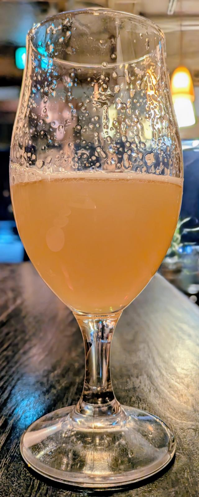 Ise Kadoya Wild Party