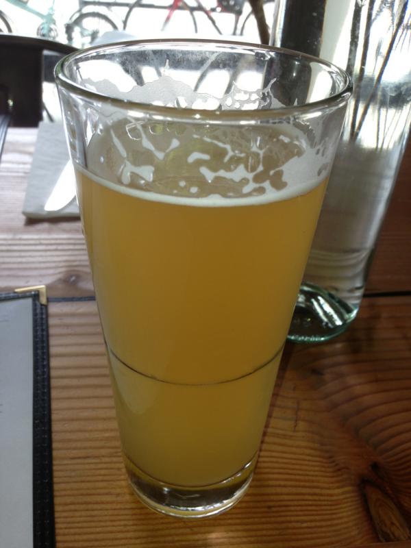 Gallant Maiden Wheat