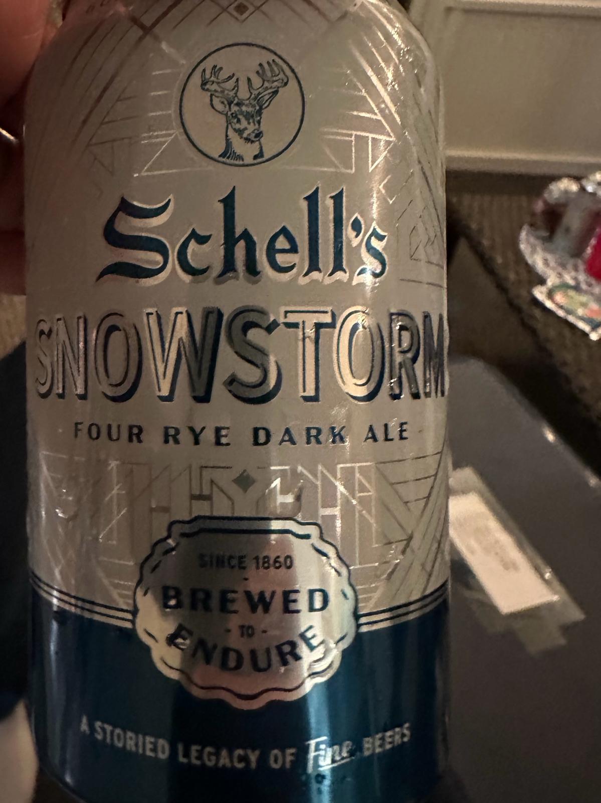 Snowstorm (2023)