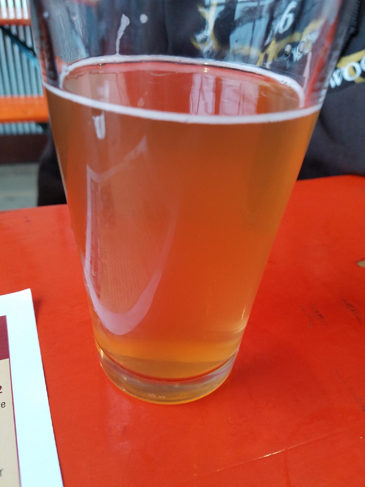 Blueberry Lager