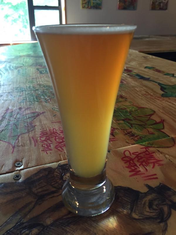 X-1 IPA