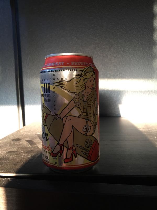 Aviator Raspberry Blonde Ale