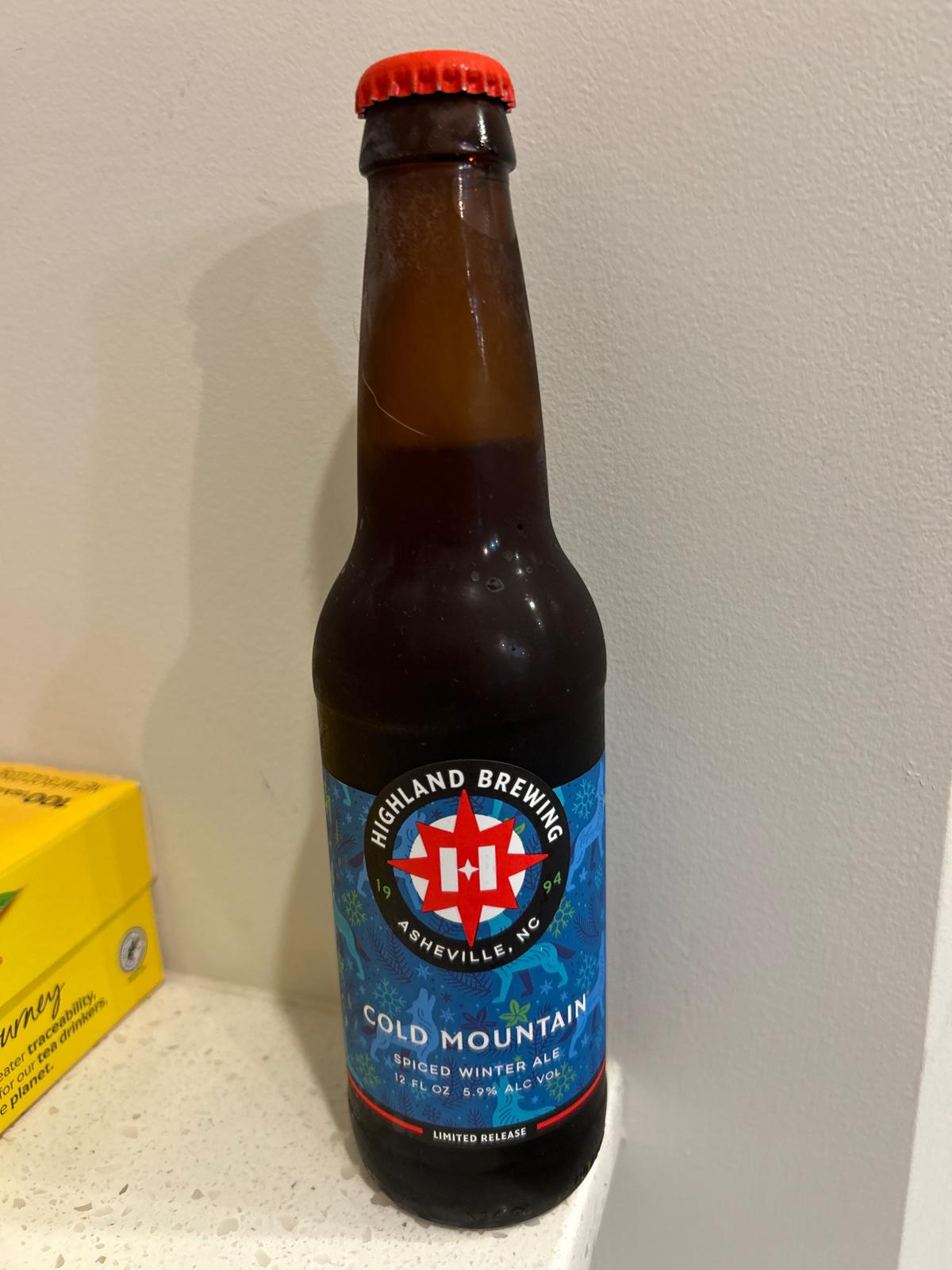 Cold Mountain (2025)