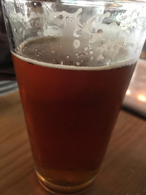 Scout Amber Ale