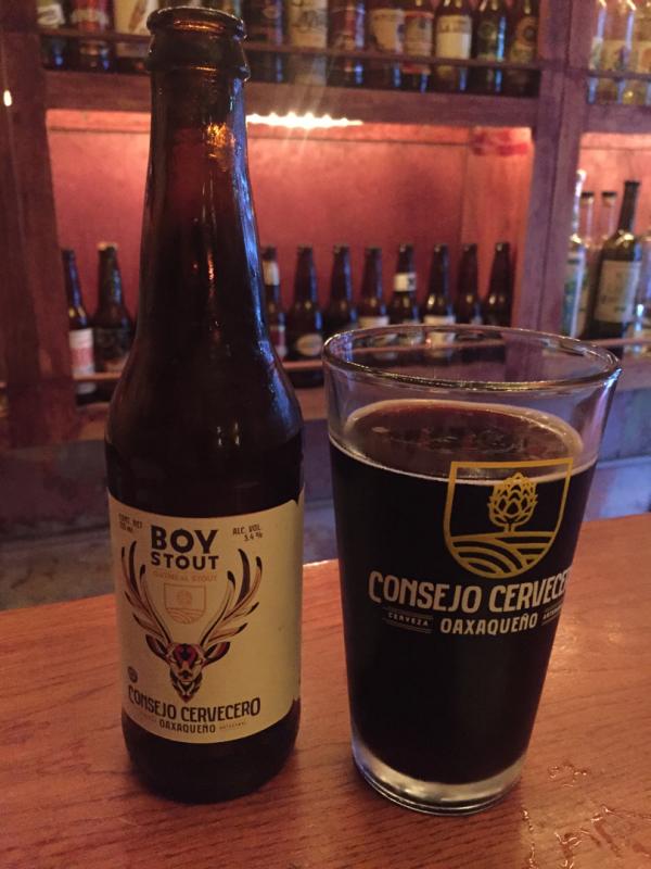 Boy Stout