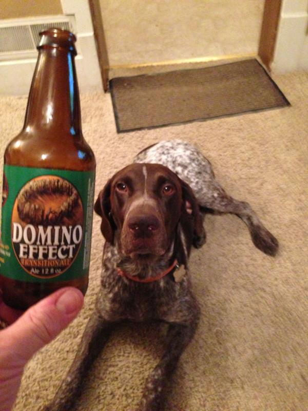 Domino Effect Transition Ale