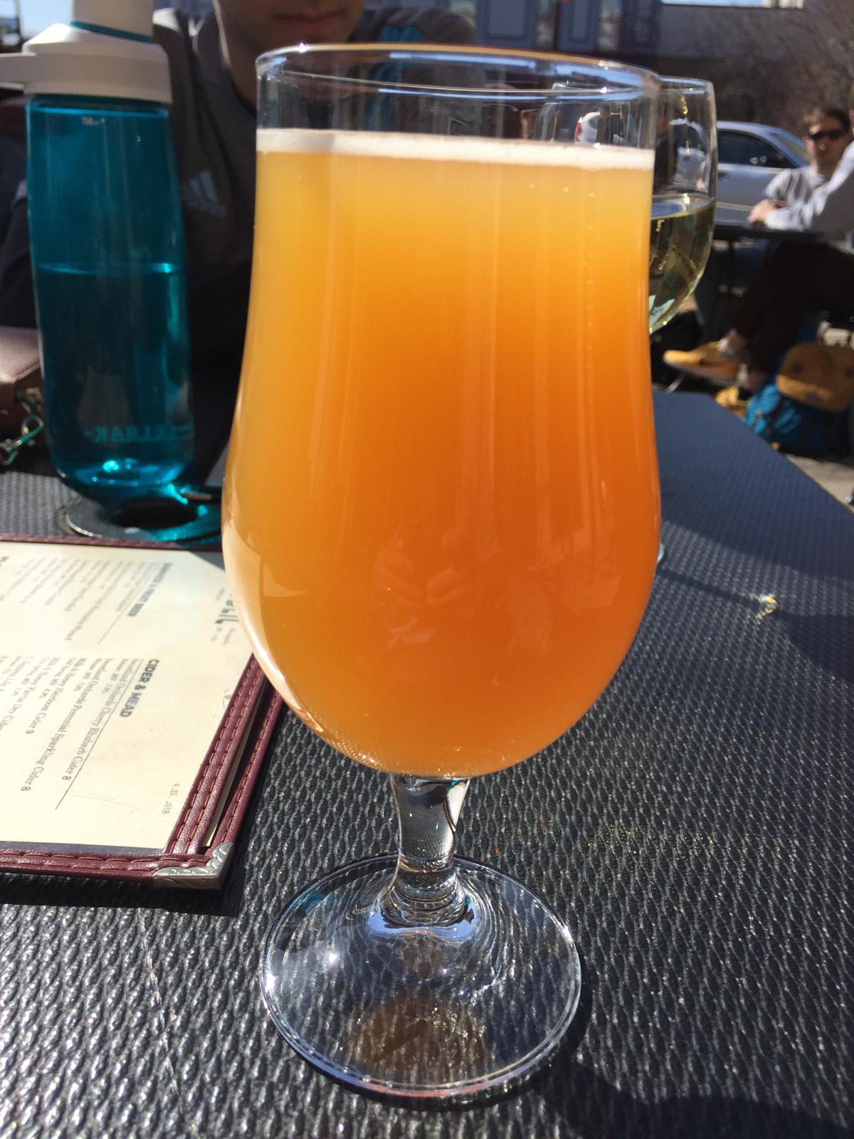 Passion Fruit, Guava, Pineapple Gose