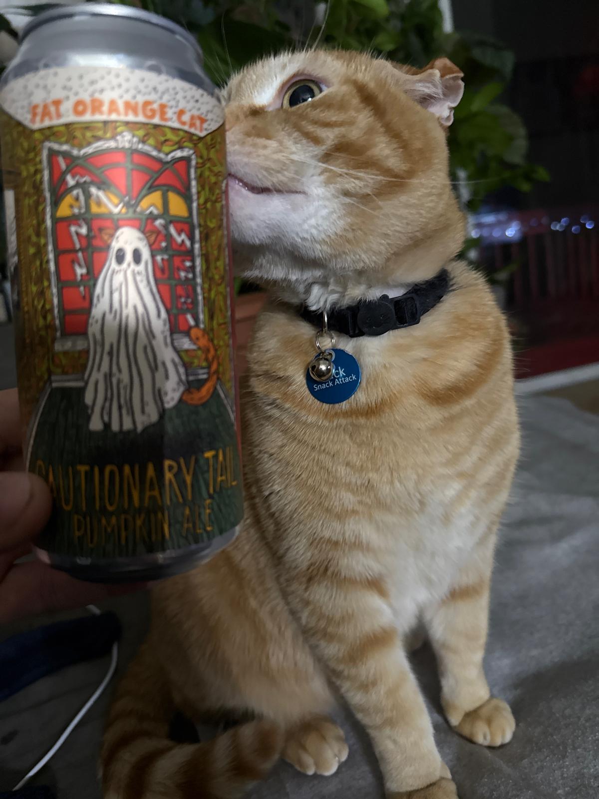 Cautionary Tail