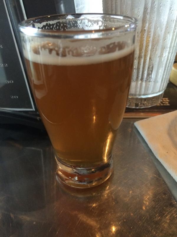 Round Earth IPA