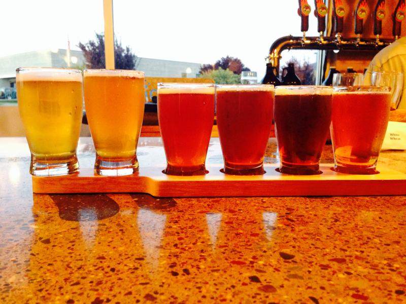 Coyote Morning IPA