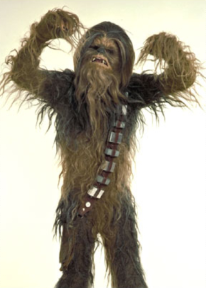 chewbaccadancearcade profile picture